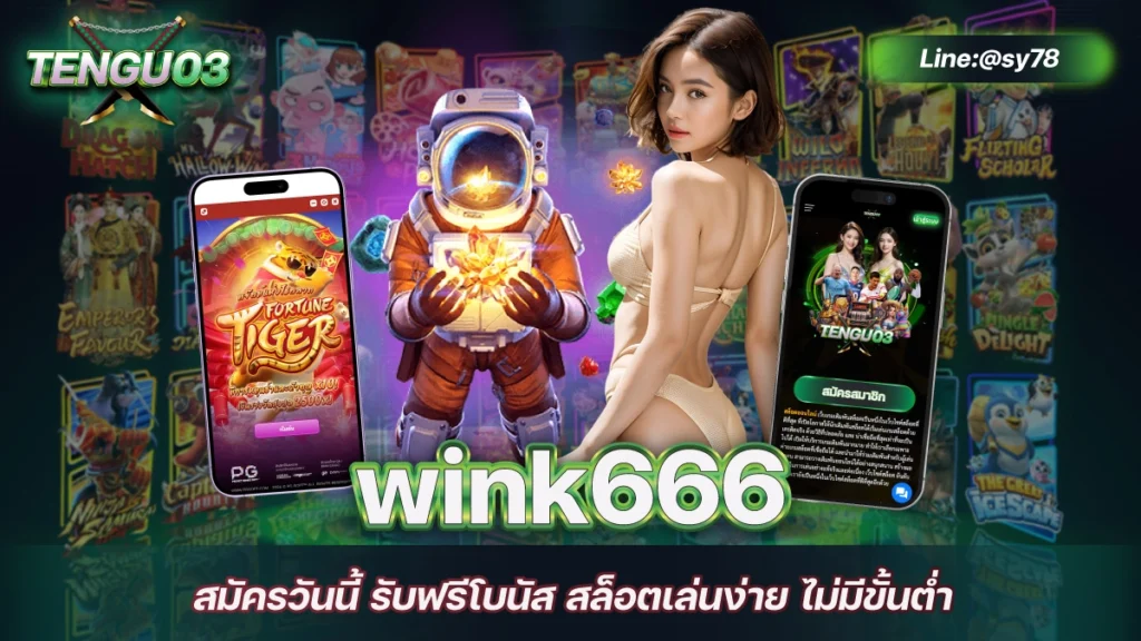 wink666