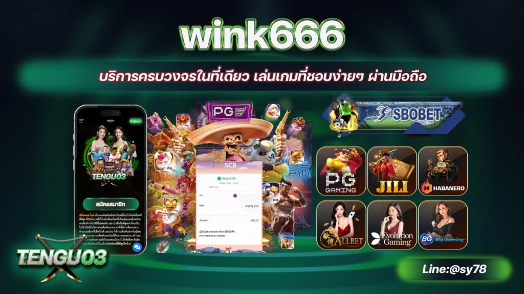 wink666